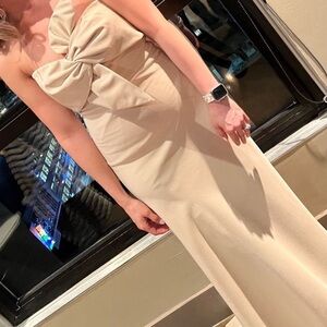 Theia Beige Gown